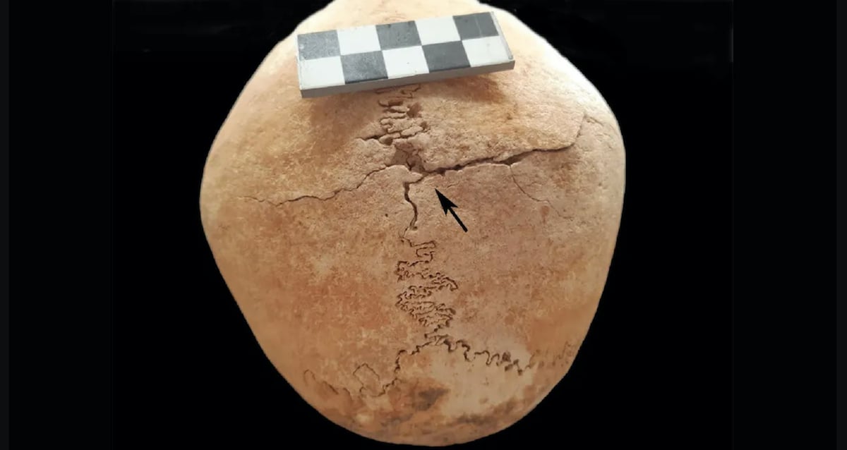 Mulher encontrada enterrada ao lado de monges guerreiros espanhóis medievais