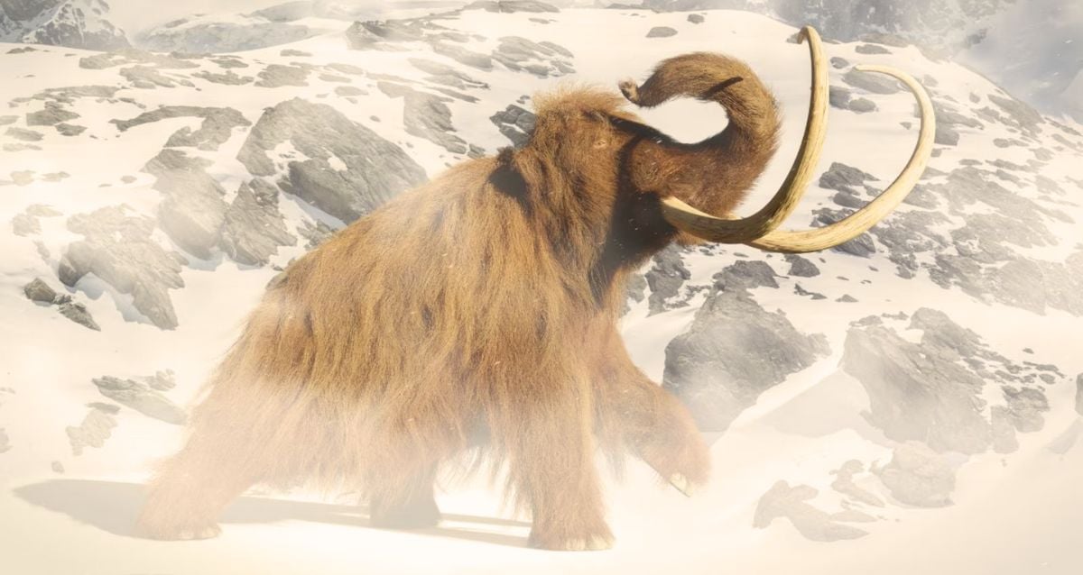 Novo estudo propõe que o pólen levou mamutes peludos à extinção