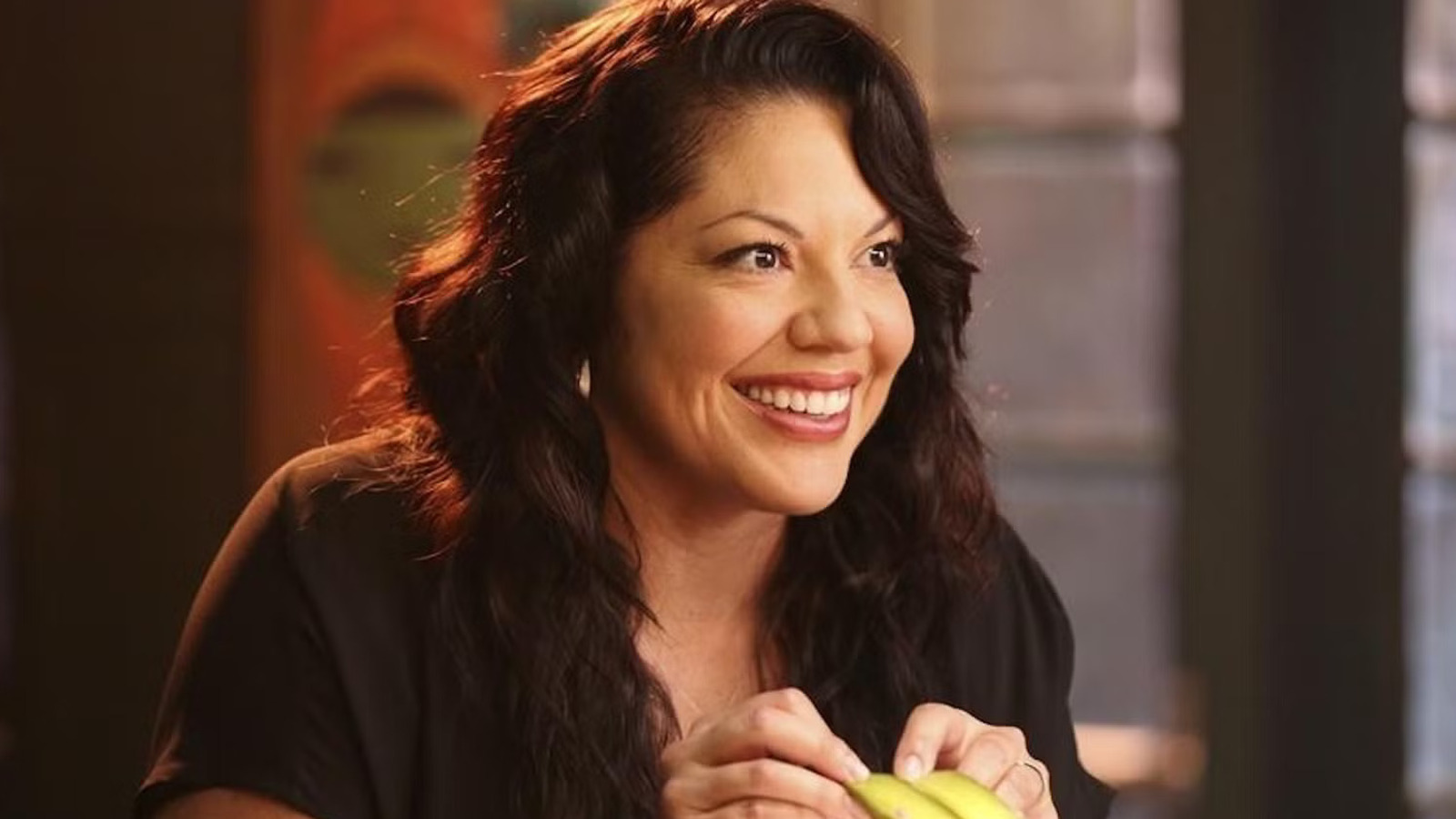 Por que Callie deixou a anatomia de Grey