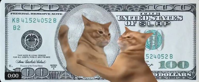 Catslap