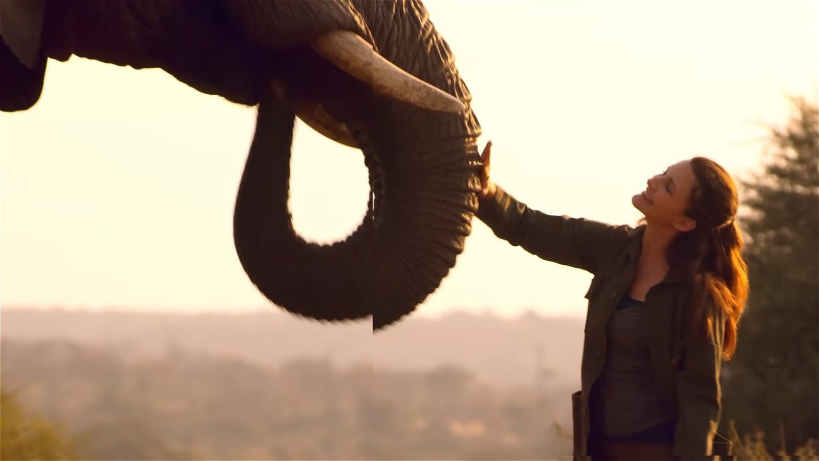 Onde foi filmado Holiday In The Wild?