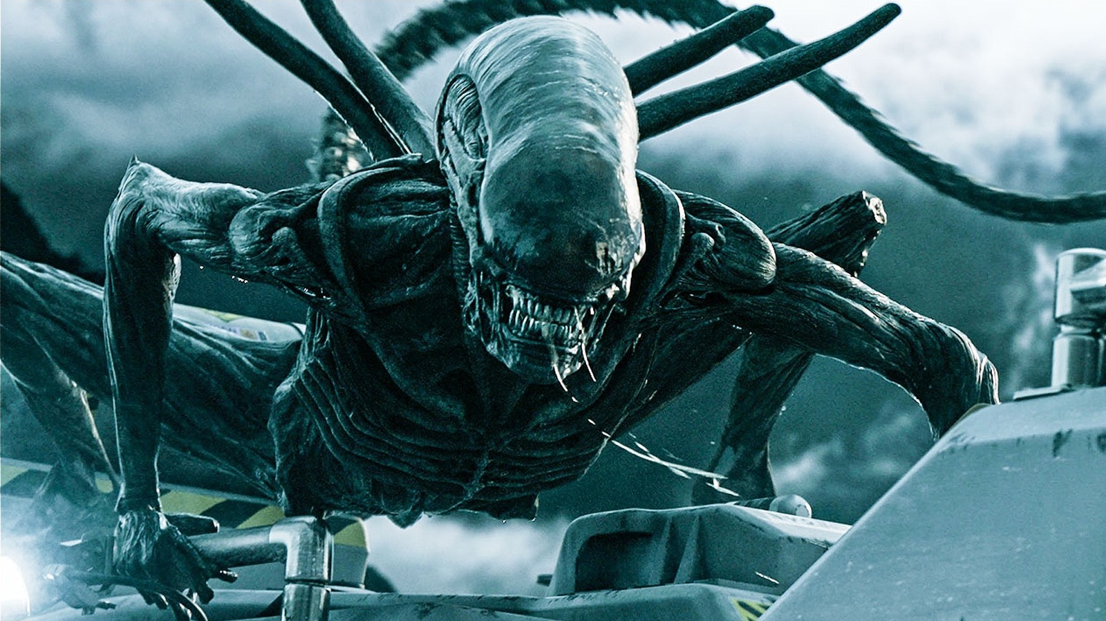 Alien: Os Xenomorfos Têm Olhos?