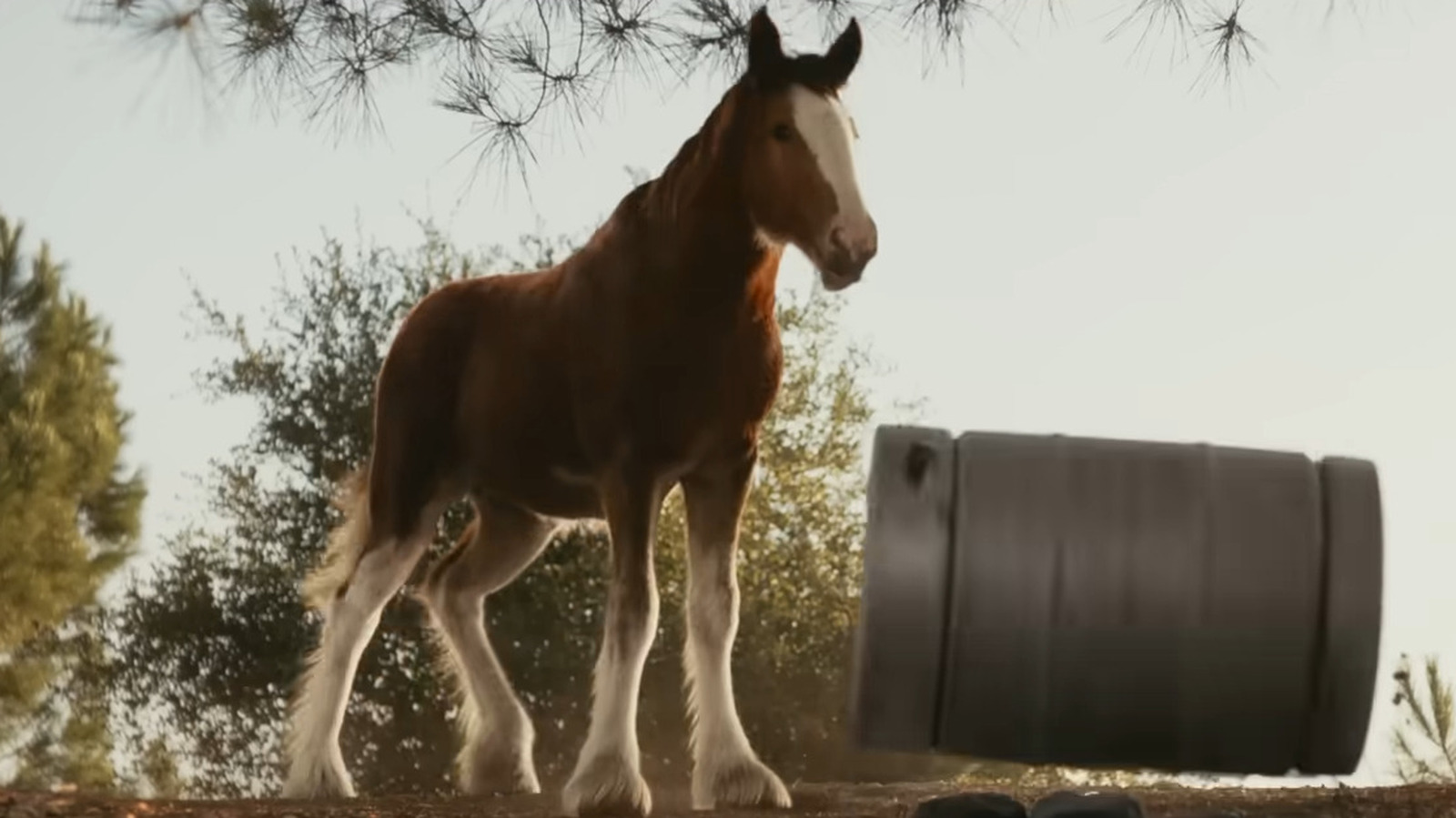 Qual é a música no comercial do Super Bowl 2025 da Budweiser?