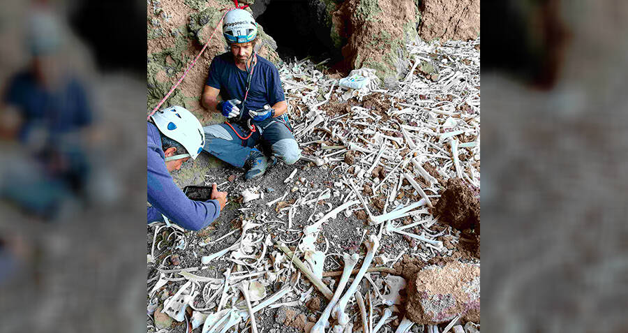 72 esqueletos e múmias encontradas na antiga tumba de caverna de Guanche