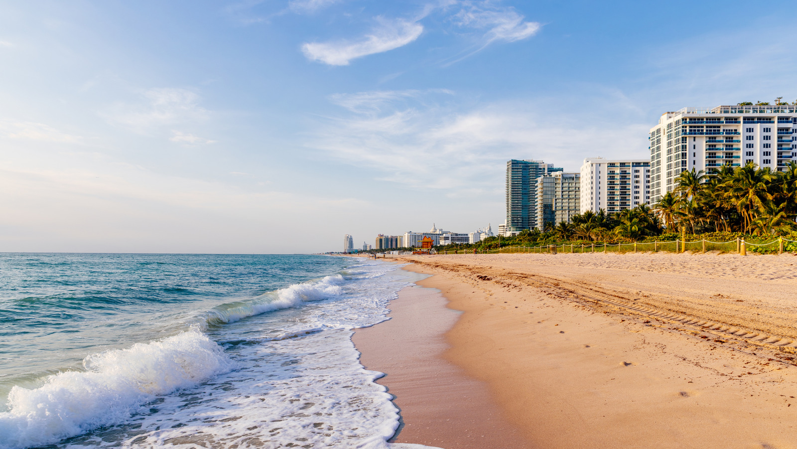 A coisa bizarra que é ilegal para os artistas em Miami, Flórida