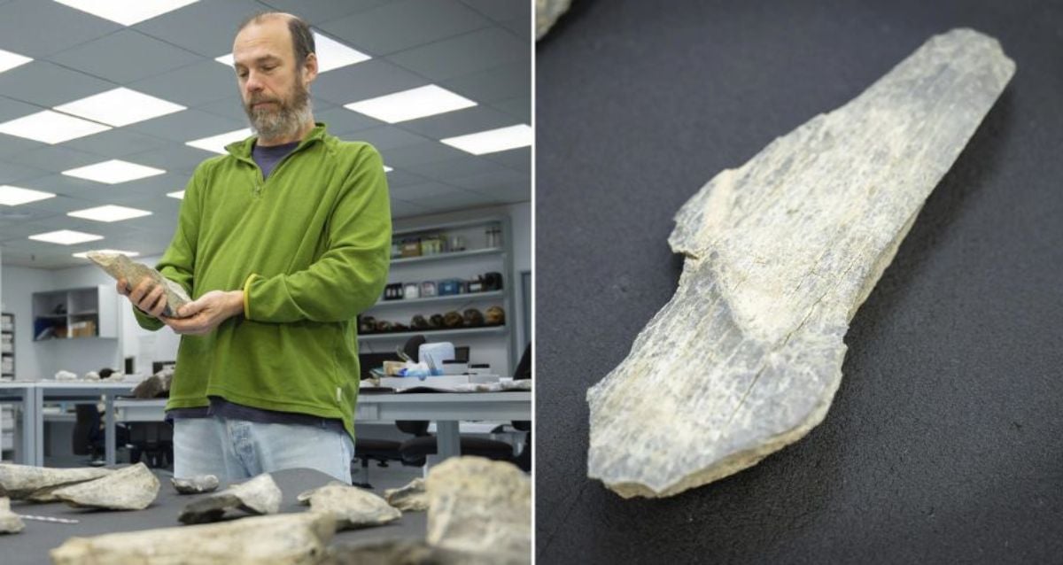 Arqueólogos descobrem ferramentas ósseas de 1,5 milhão de anos na África