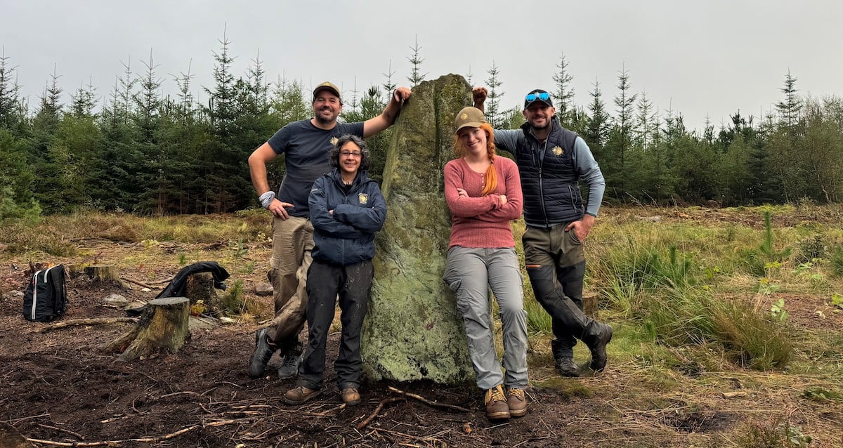 Círculo de pedra da Idade do Bronze desenterrado dentro da floresta inglesa