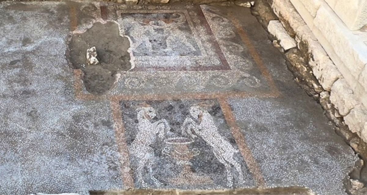 Mosaico representando cupidos em guerra descobertos em Türkiye