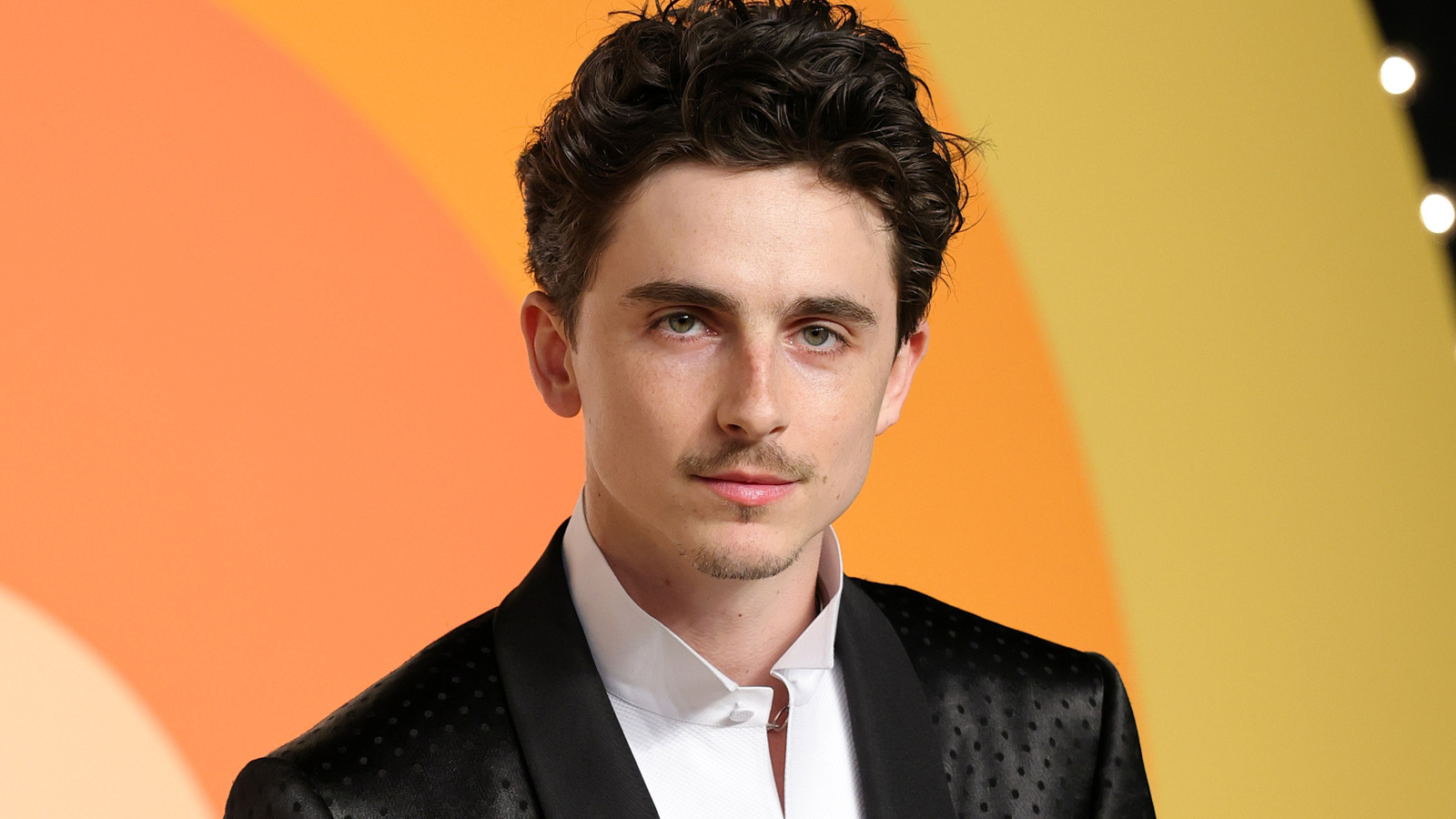 5 mais filmes subestimados de Timothee Chalamet