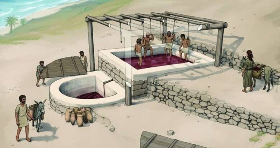 Arqueólogos encontram 'fábrica de vinho' de 2.600 anos de idade no Líbano