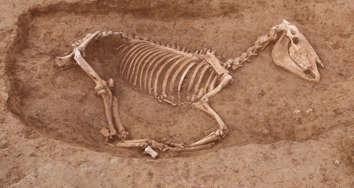 Cemitério Romano de Cavalos do Século IINCIDADE na Alemanha