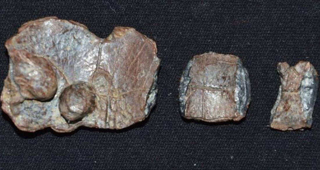"Comprimidos de maldição" grego antigos encontrados no poço de água de 2.500 anos