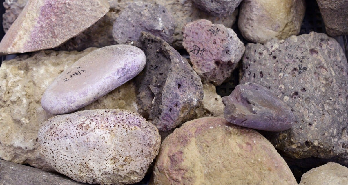 Fábrica de corantes roxos antigos Tyrianos encontrados no norte de Israel