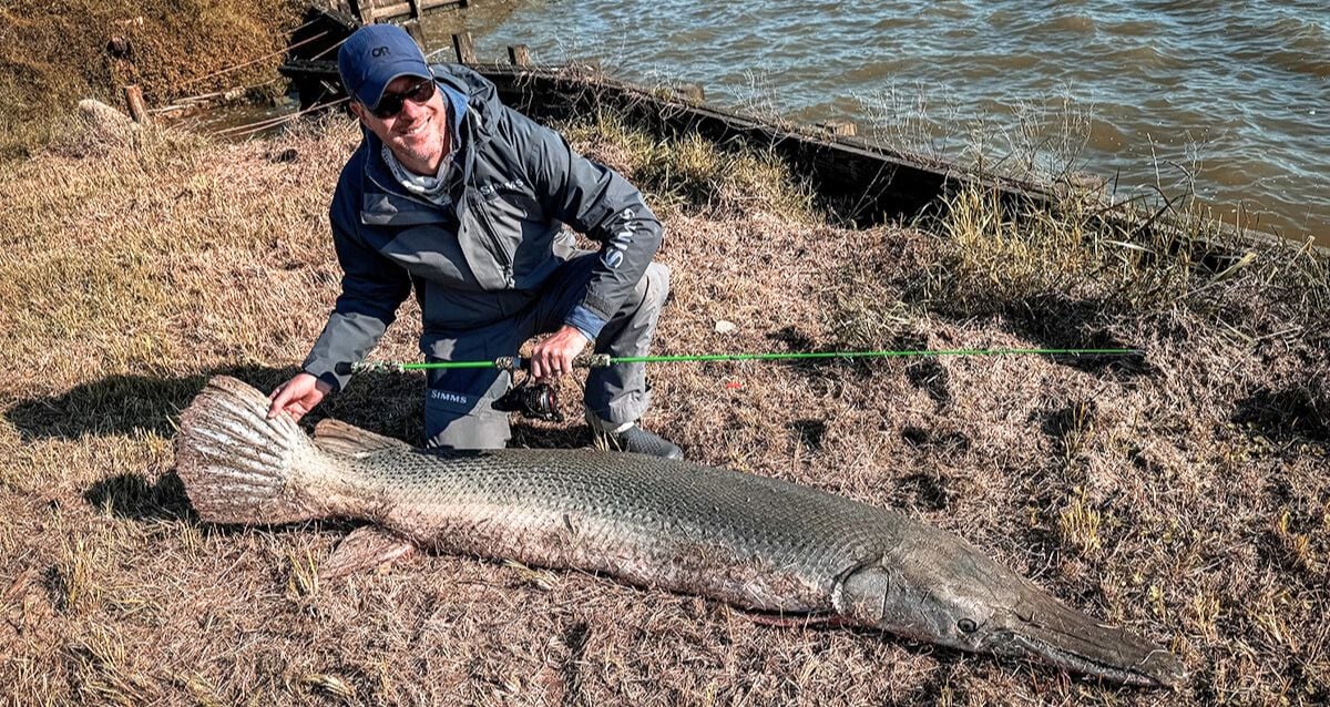 Os pescadores pegam um jacaré de 153 libras Gar com uma linha ultra-light