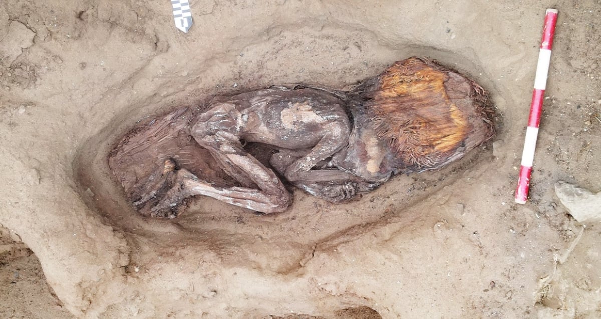 Sepultura de 5.000 anos de uma mulher de elite desenterrada no Peru