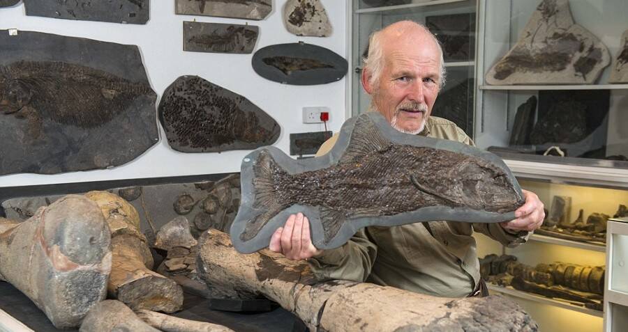 Caçador fóssil amador descobre nova espécie de 'dragão marinho'
