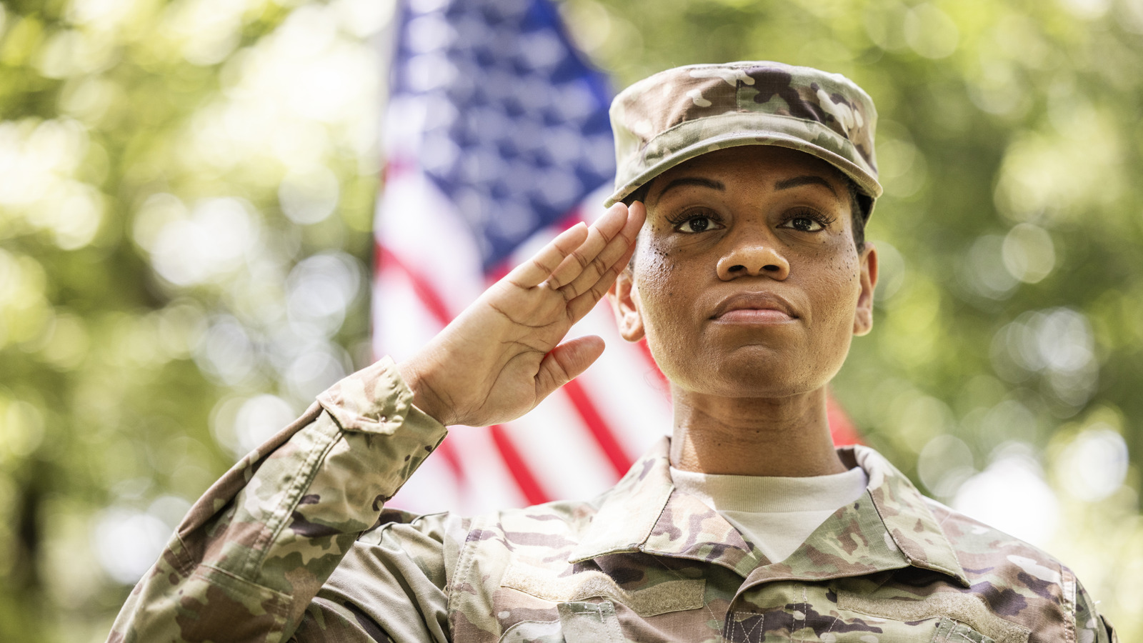 Dia dos Veteranos vs. Memorial Day explicado