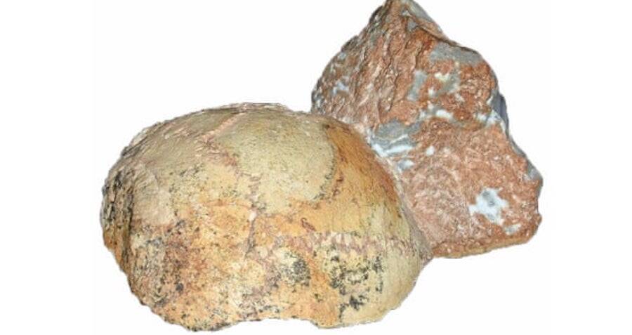 Este crânio fossilizado de 210.000 anos pode reescrever a história humana precoce