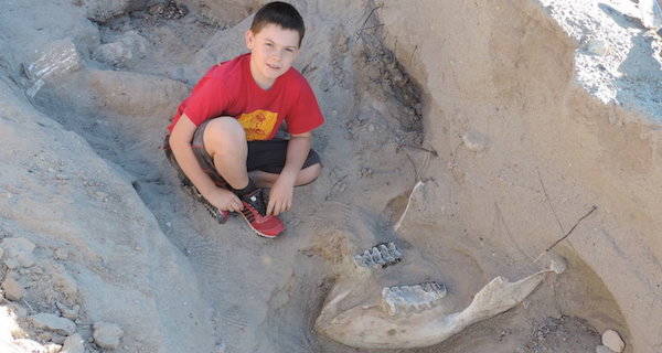 O garoto de 9 anos descobre fóssil de 1,2 milhão de anos, tropeçando nele