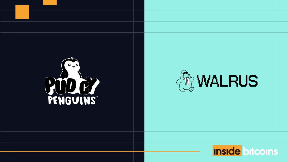 Pudgy Penguins and Walrus_optimized