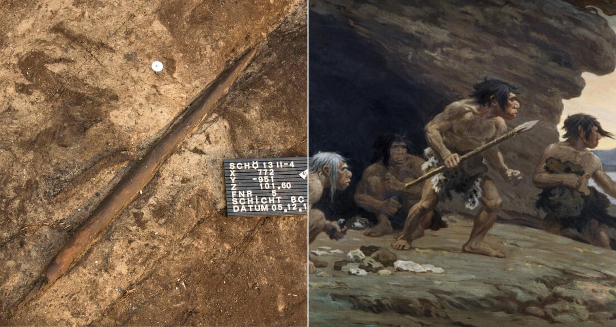 Spears encontrada na Alemanha feita por neandertais há 200.000 anos