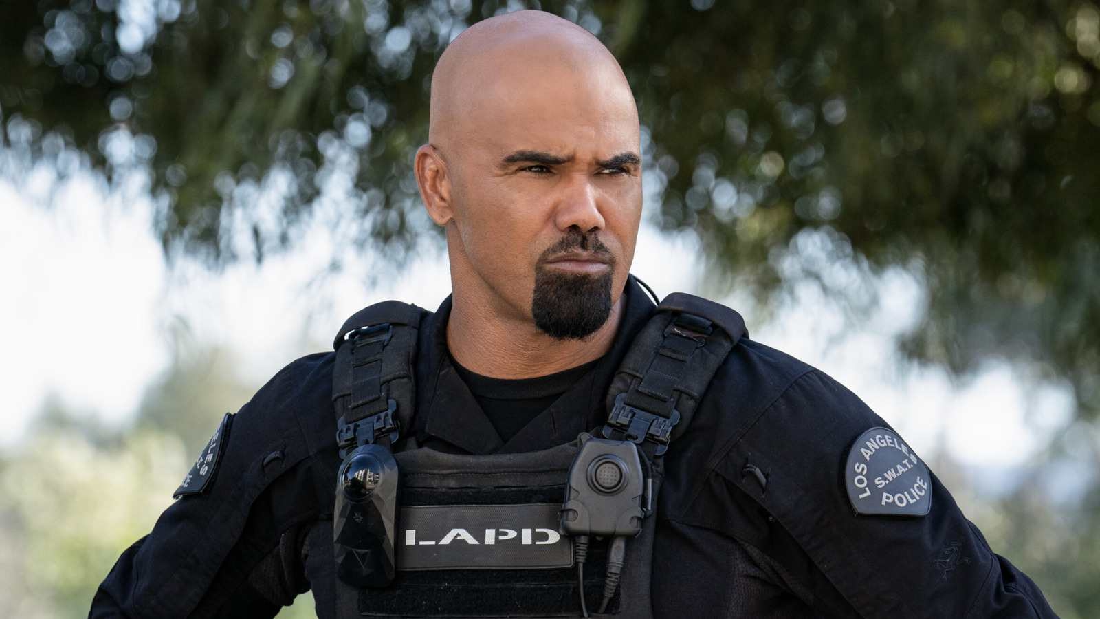 Tudo o que sabemos sobre a série de spin-off de Shemar Moore