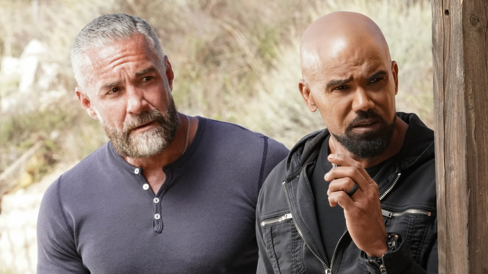 As estrelas da SWAT reagem à série de spin-off de Shemar Moore (e nem tudo é bom)