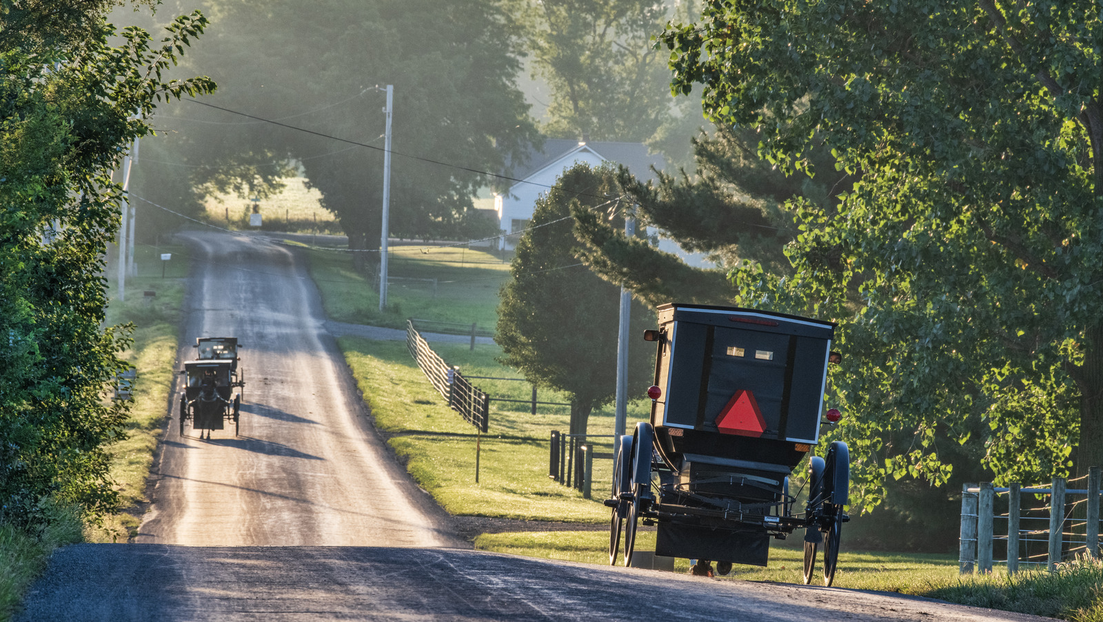 As pessoas Amish podem dirigir carros?