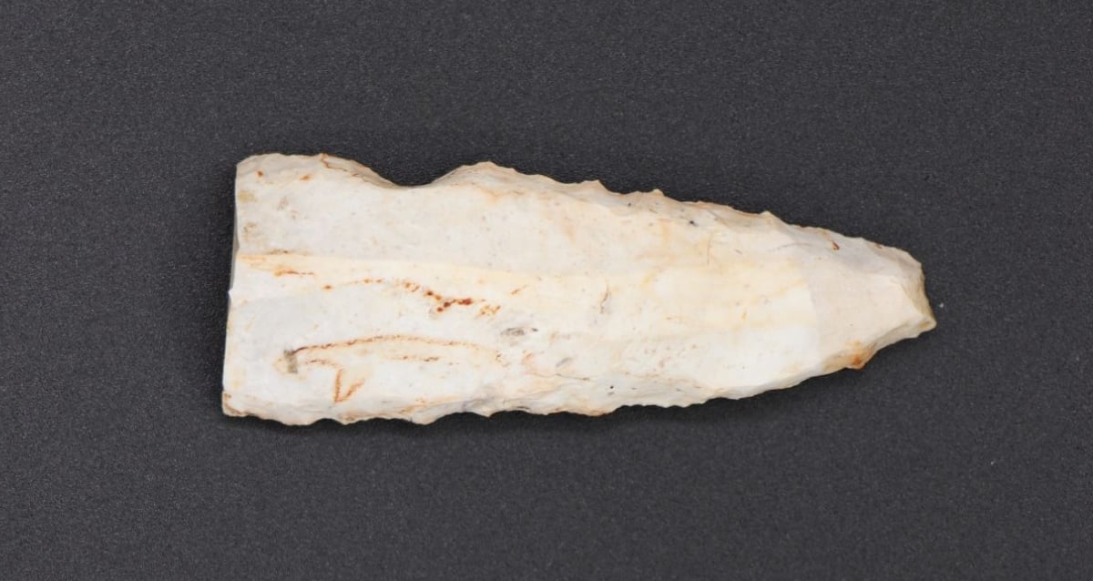 Blade Flade de 4.500 anos de idade desenterrada na Alemanha