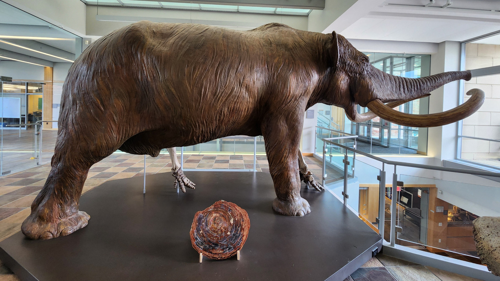 Como o Mastodon se tornou fóssil do estado de Indiana