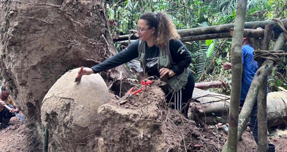 Grandes urnas funerárias descobertas por pescador na Amazônia
