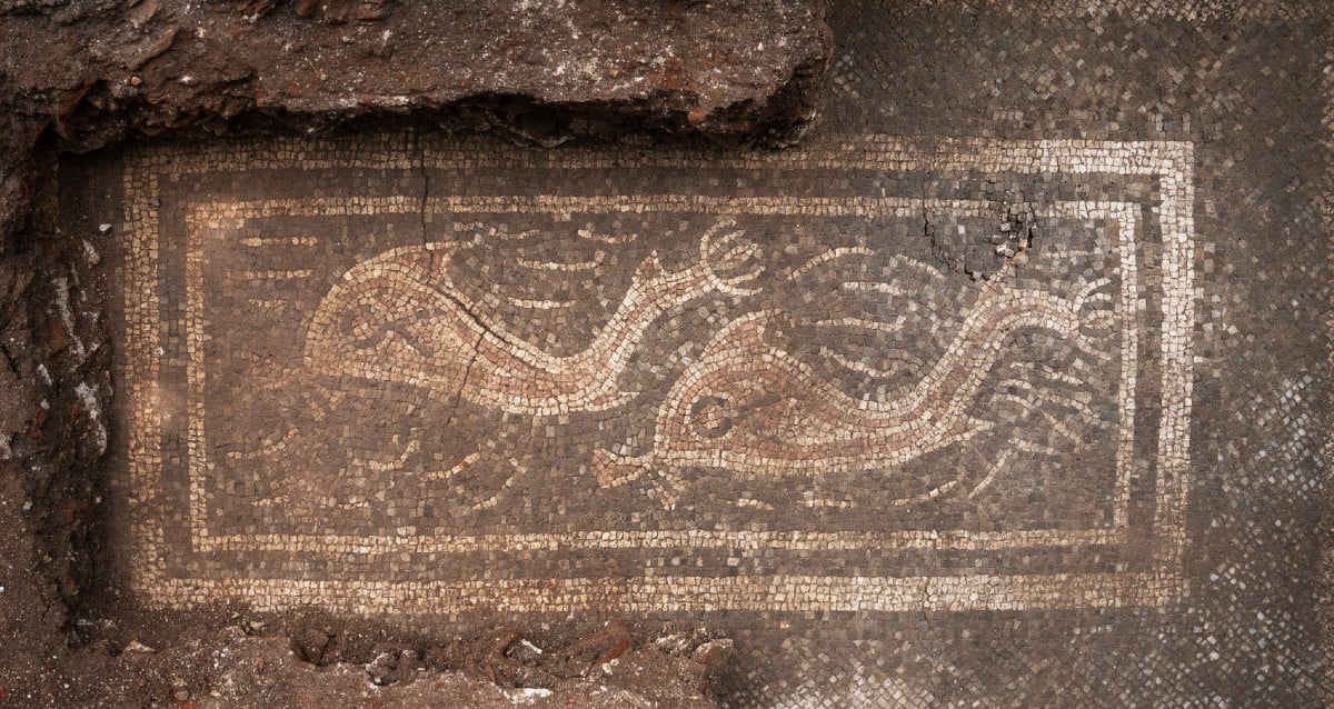 Mosaico de golfinho romano impressionante desenterrado na Upper Áustria