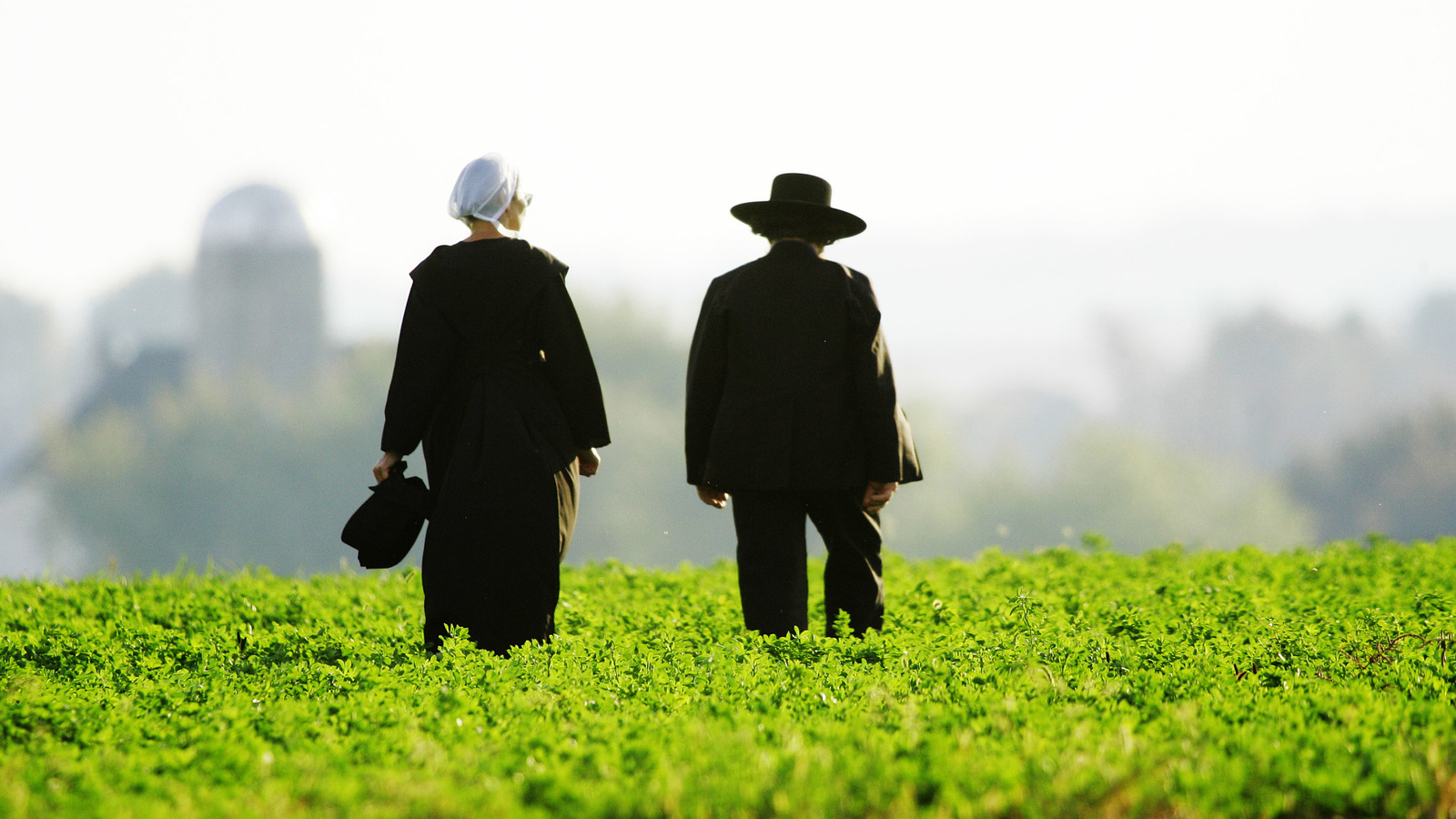 Por que muitas pessoas Amish não têm números de previdência social