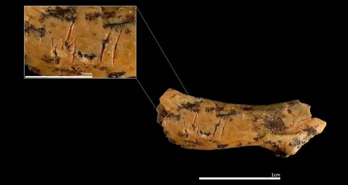 Evidência mais antiga do canibalismo humano precoce encontrado na Espanha
