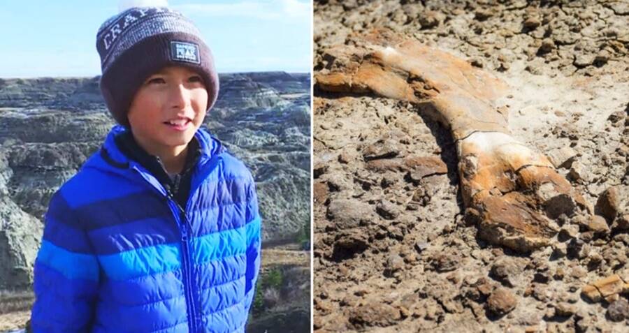 O garoto de 12 anos encontra fósseis de dinossauros de 69 milhões de anos enquanto caminham