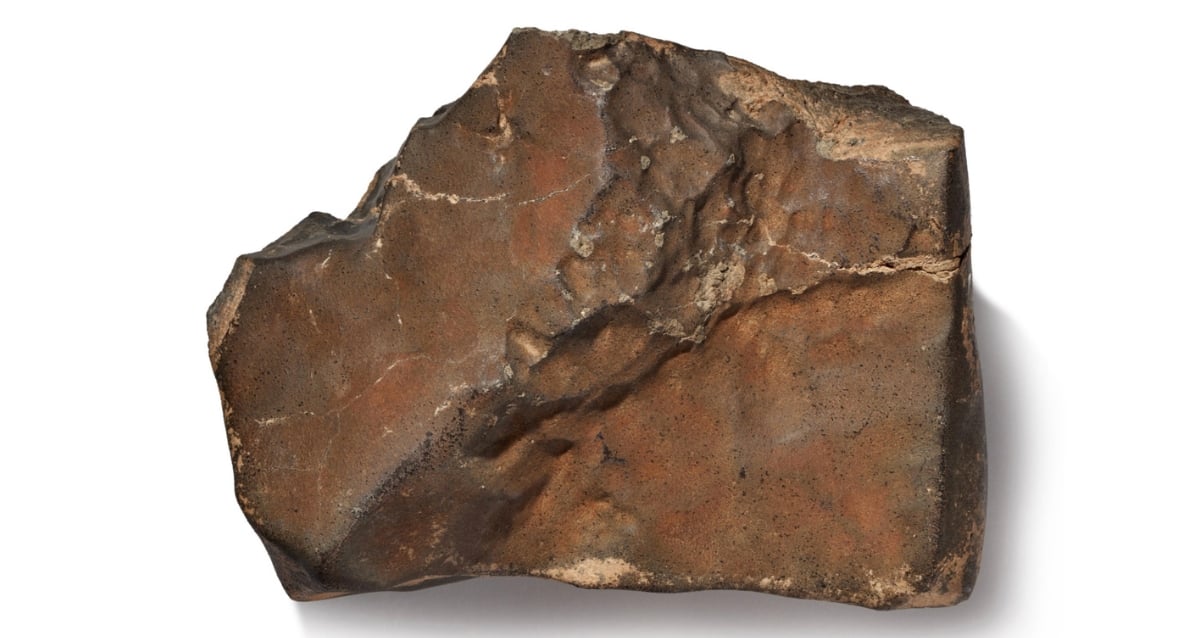 O maior meteorito marciano conhecido pode buscar US $ 4 milhões em leilão