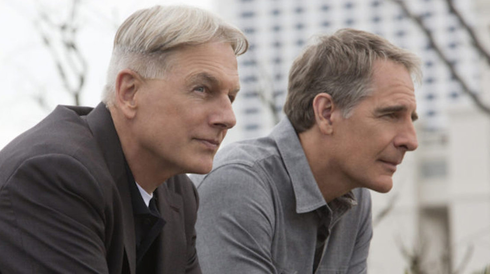 Cada série spin-off do NCIS classificada do pior ao melhor