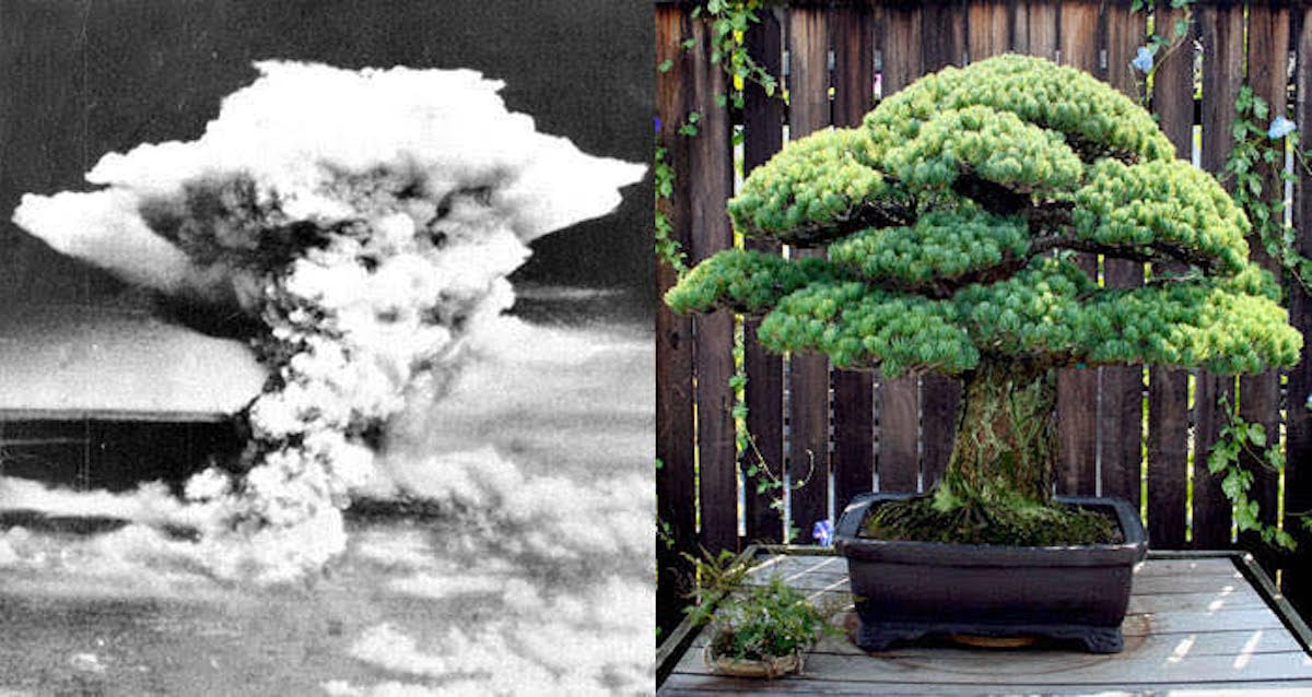 Dentro dos ataques nucleares ao Japão