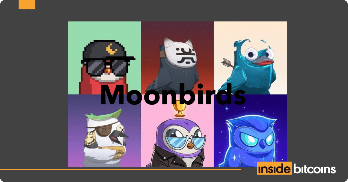 Moonbirds NFT collection_optimized