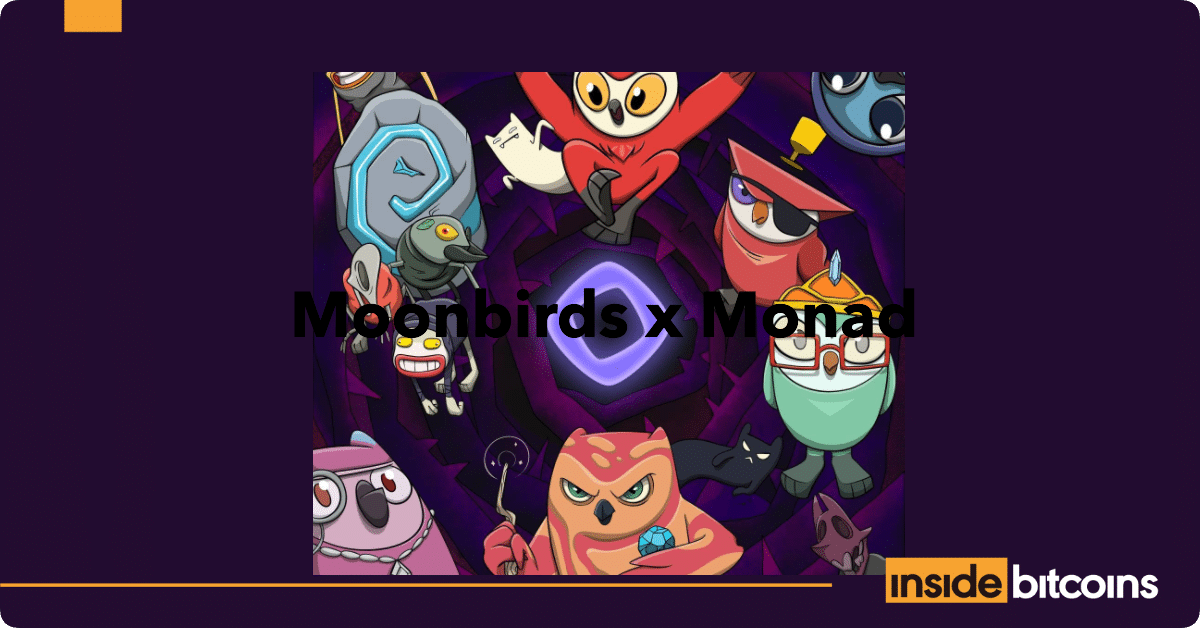 Moonbirds x Monad_optimized