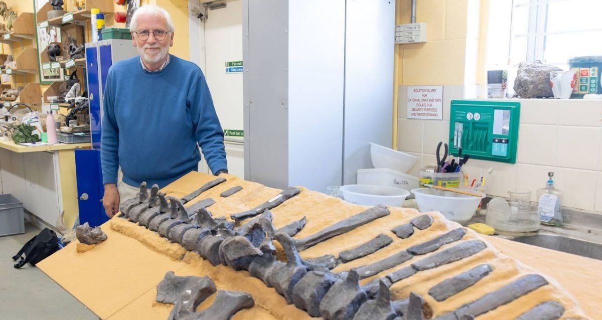 Nova espécie de dinossauro com vela única identificada na Grã -Bretanha