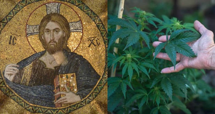 O óleo de cannabis pode estar presente no óleo da unção de Jesus