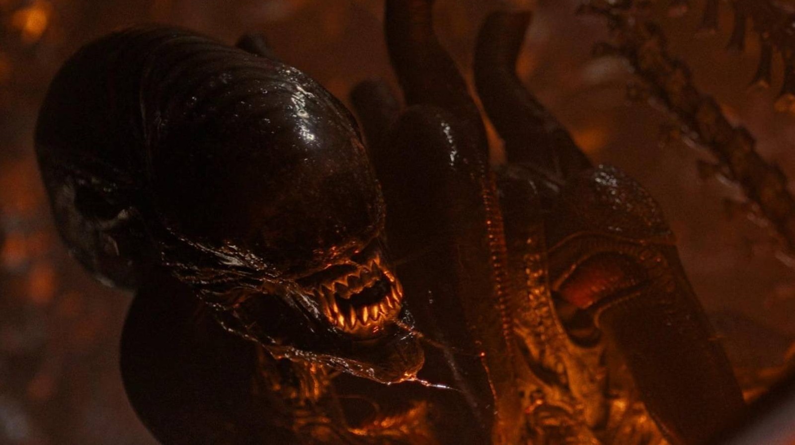 O único explicador Xenomorph que você precisa antes do Alien: Terra