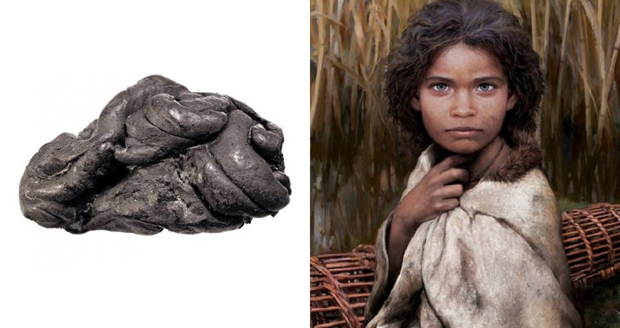 Os cientistas recuperam o genoma humano pleno da goma de 5.700 anos