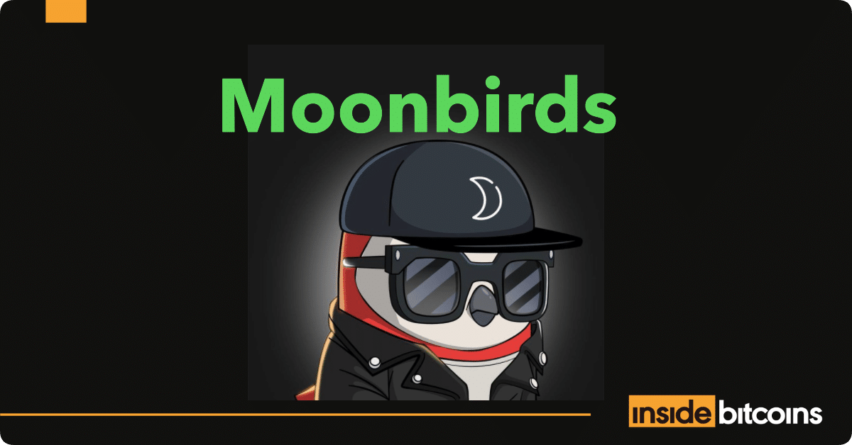 moonbirds NFT series_optimized